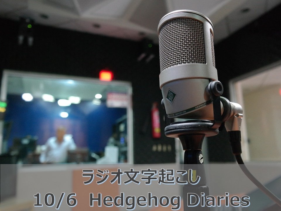細美さんラジオ Reunion Tour 21の話 10 6hedgehog Diaries文字起こし 将来に憂う28歳ブログ