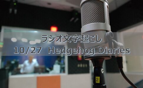 細美さんラジオ Reunion Tour 21の話 10 6hedgehog Diaries文字起こし 将来に憂う28歳ブログ