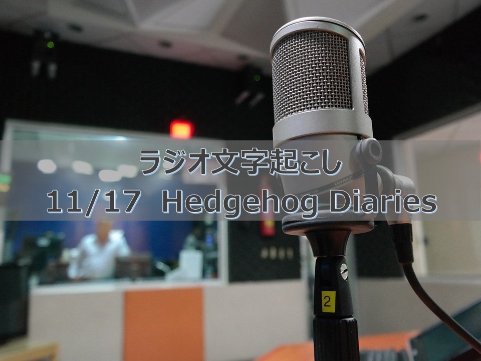 ラジオ文字起こし 細美さん的英語学習法 21年11月17日 Hedgehog Diaries